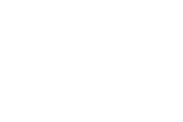 renner (1)